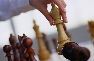 上海自贸区注册日用百货及农副产品销售公司的简明步骤